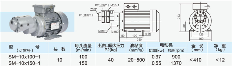 10頭小流量多頭泵02_副本.jpg