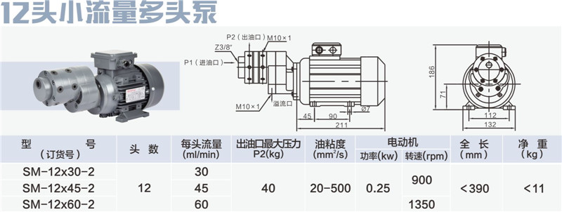 12頭小流量多頭泵-01_副本.jpg