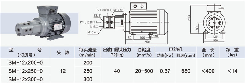 12頭小流量多頭泵-03_副本.jpg