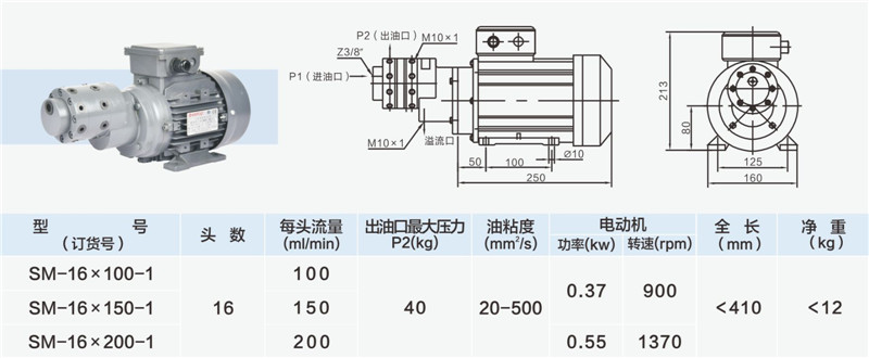 16頭小流量多頭泵-02_副本.jpg