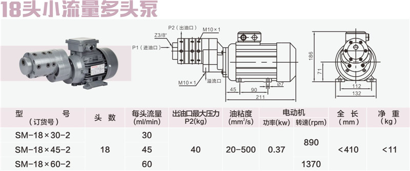 18頭小流量多頭泵-01_副本.jpg