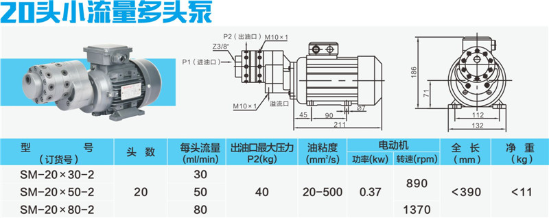 20頭小流量多頭泵-01_副本.jpg