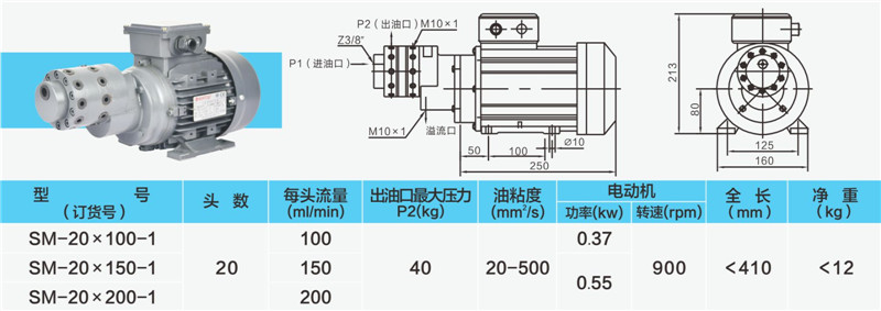 20頭小流量多頭泵-02_副本.jpg