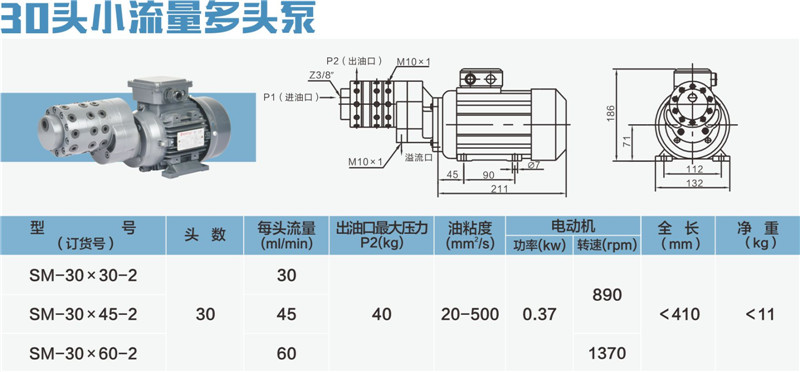 30頭小流量多頭泵-01_副本.jpg