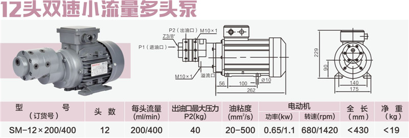 12頭雙速小流量多頭泵_副本.jpg